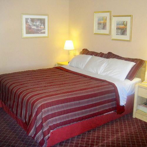 Muir Lodge Motel Martinez Rum bild